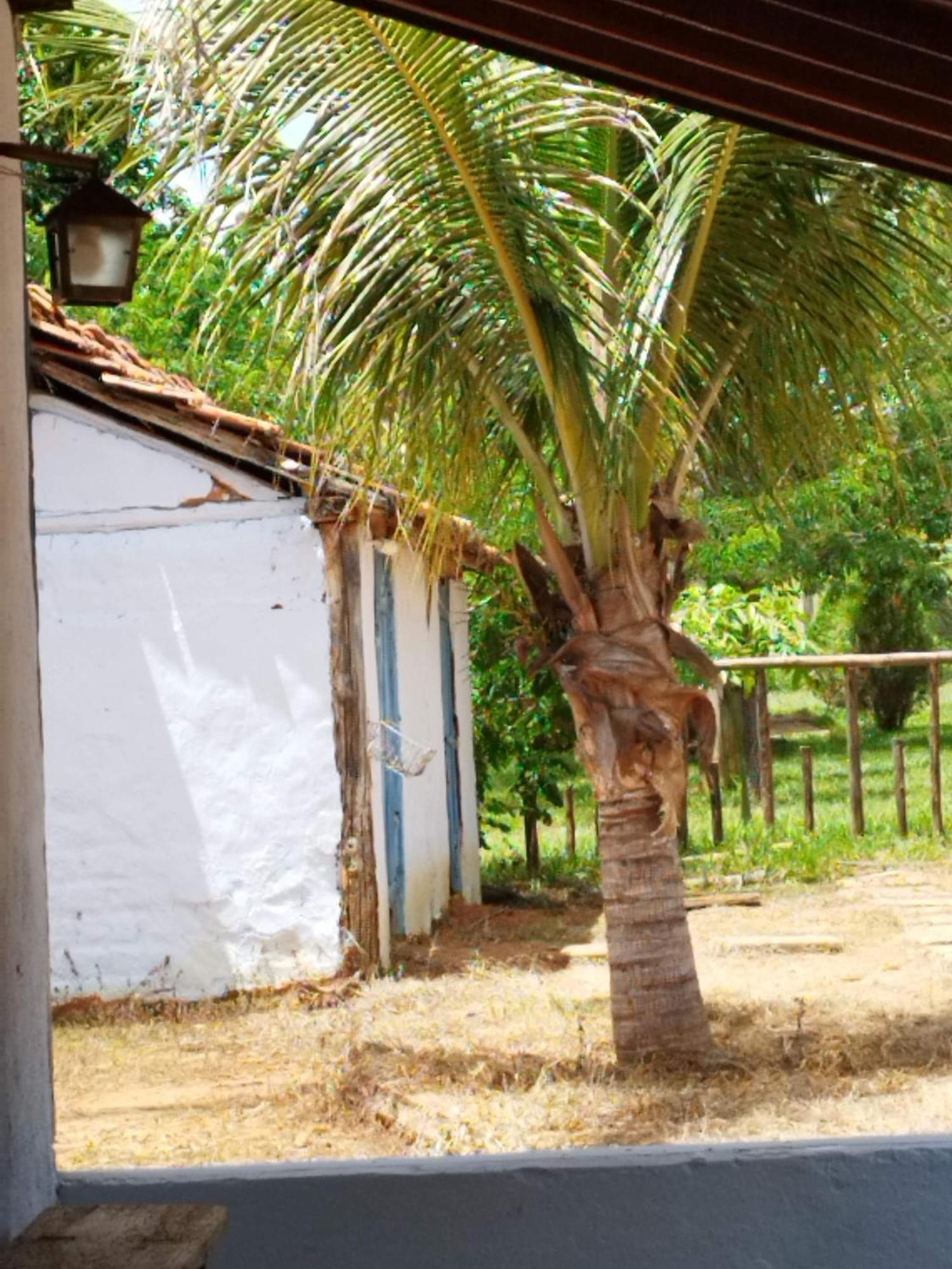 Fazenda Com Piscina E Churrasqueira Br-135 Proximo Curvelo Corinto E Morro Da Garca Εξωτερικό φωτογραφία