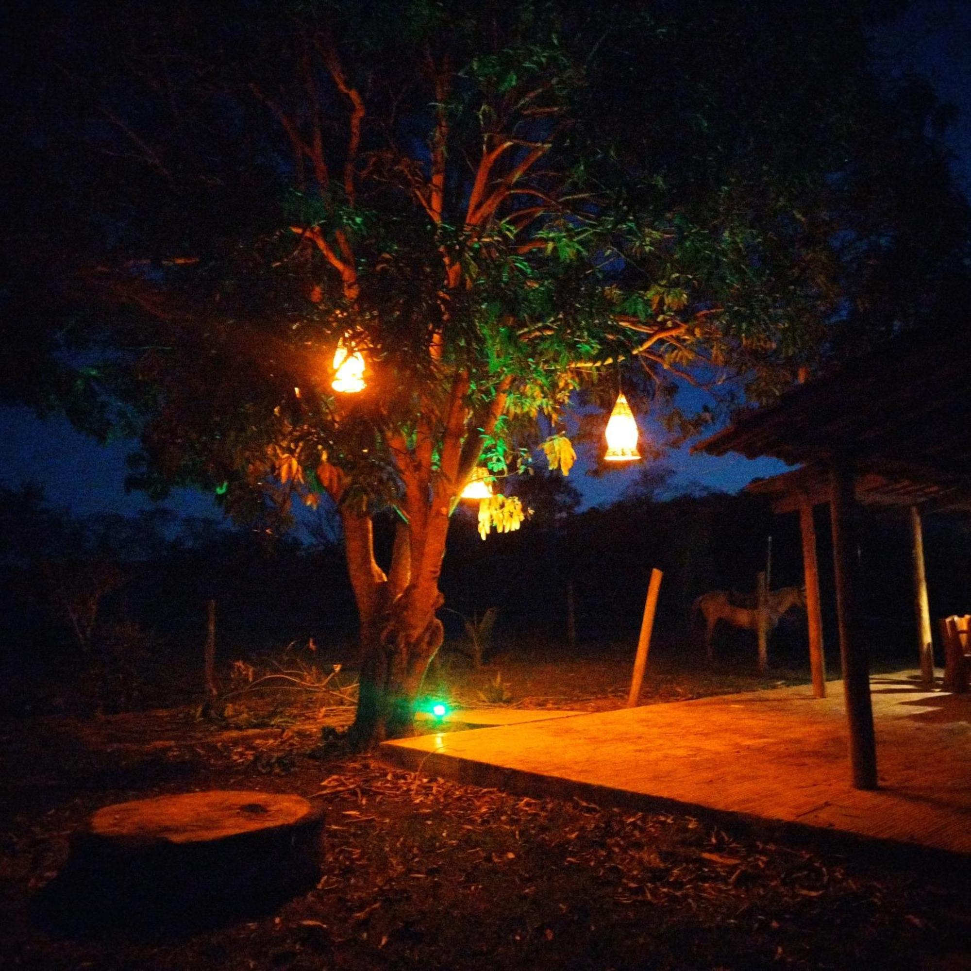 Fazenda Com Piscina E Churrasqueira Br-135 Proximo Curvelo Corinto E Morro Da Garca Εξωτερικό φωτογραφία